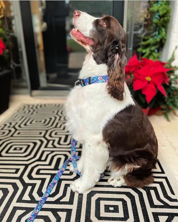 Lucky Love Dog - Adjustable Dog Collar with Easy Click Buckle for Small to Large Dogs, Durable, & Comfortable for Male & Female Dogs, Pet Collar for Puppies & Adult Ones - Sweet Holiday, Large