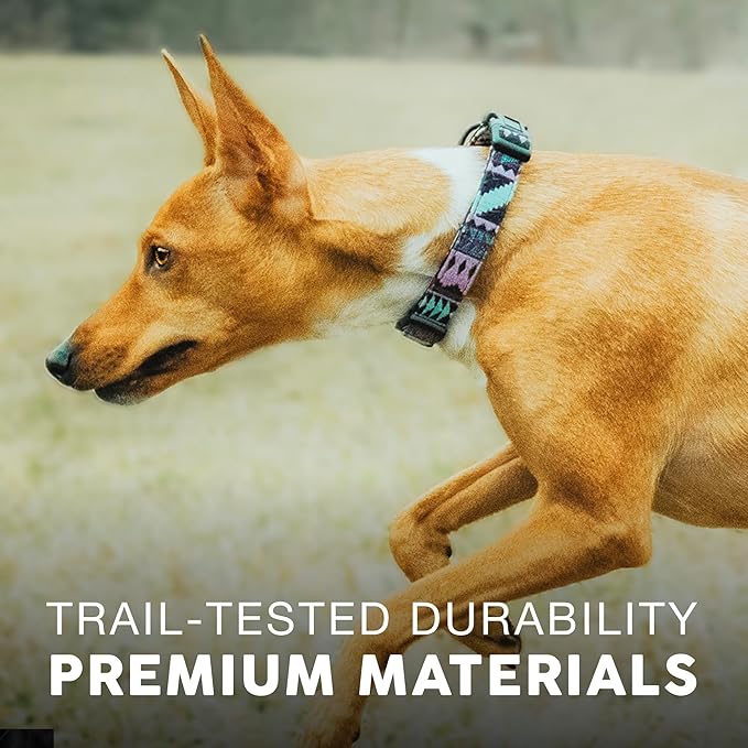 Embark Adventure Dog Collar – Stylish & Durable Nylon Collar for Medium Dogs, Comfortable & Adjustable Pet Collar for Medium Sized Dog with Strong Buckles
