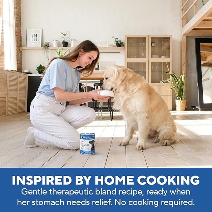 Dave's Dog Food Bland Diet Dog Food for Sick Dogs with Upset Stomach (Chicken & Rice), Economy Size for Large Pups or Big Eaters, Sensitive Stomach, 22 oz (Case of 12)