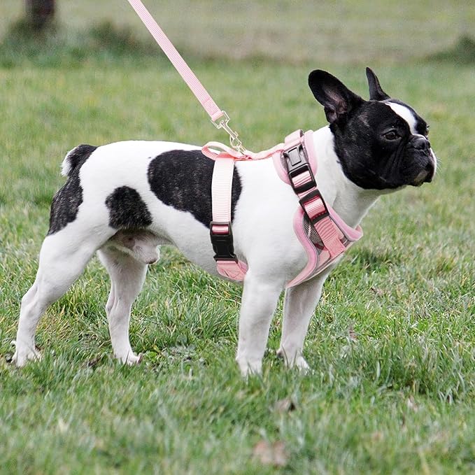 PUPTECK Soft Mesh Dog Harness and Leash Set Pet Puppy Cat Adjustable Reflective Padded Vest No Pull Harnesses, Pink, M