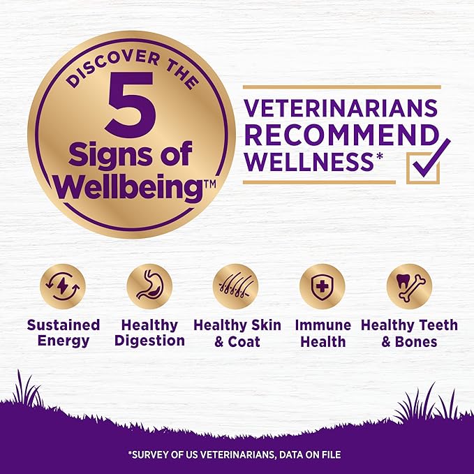 Wellness Complete Health Dry Dog Food, Wholesome Grains, Chicken & Oatmeal, (38-Pound Bag)