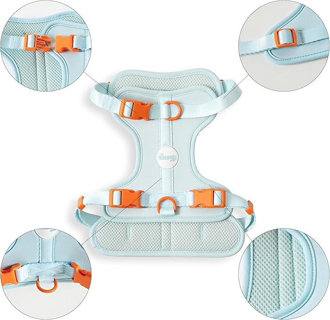 HNS1002D Arlo Medium Adjustable Soft Padded No Pull Pet Harness with 3 Buckles and 3 Leash Clips, Fishbowl