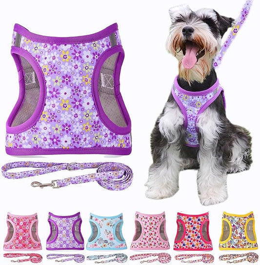 Moonpet Step in Dog Harness Leash Set- All Weather Reflective No-Pull Floral Pattern Padded Mesh Vest Harness for Cats Puppy Extra-Small Small Medium Large Dogs - Purple Flower - XXS