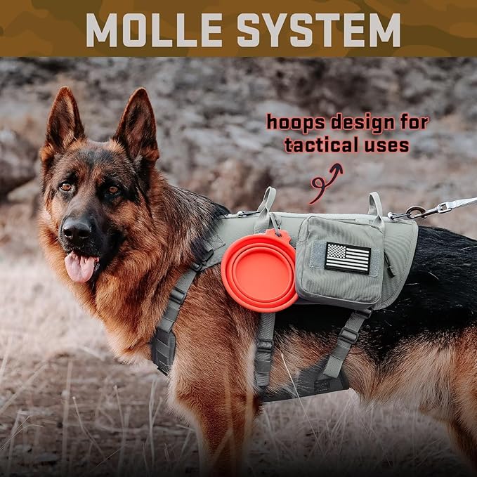Forestpaw Tactical Dog Harness for Large Dogs,Tactical Dog Collar with Bungee Leash Set,No Pull Military Dog Harness for Walking Training,Adjustable for Medium Large Dogs,Gray,Chest 21.5-45"