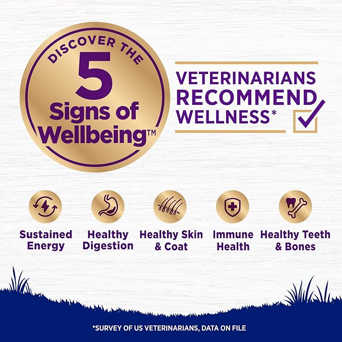 Wellness Complete Health Dry Dog Food, Large Breed, Wholesome Grains, Chicken & Brown Rice Recipe, (38-Pound Bag)