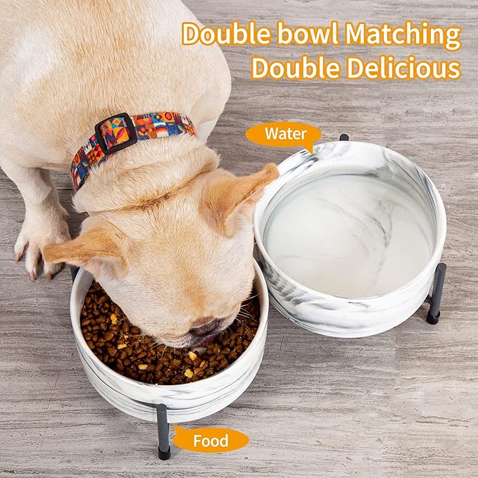 6 Inch Raised Ceramic Dog and Cat Bowl with Iron Stand, 32 OZ Modern Elevated Food and Water Bowls for Cats & Dogs, No Spill Porcelain Pet Feeder, Set of 2