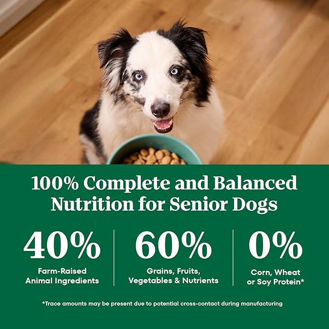 Nutro Natural Choice Chicken & Brown Rice Senior Dog Food Dry Recipe, 30 lb. Bag