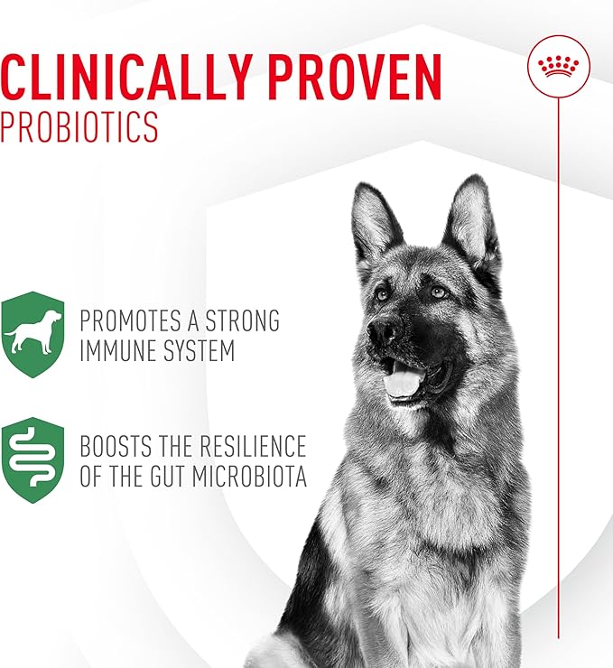 Royal Canin Probiotics for Dogs Digestive and Immune Health Powder Supplement for Dogs of All Ages, 30 Count (Pack of 3)