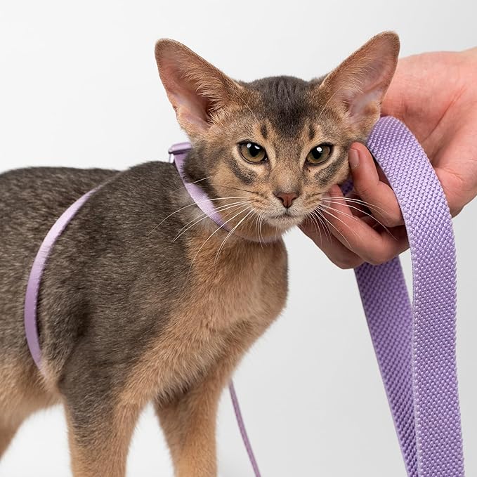 Cat Harness and Leash 2-in-1, Escape Proof Anti-Chocking Harness Adjustable Lighweight Leash for Walking Outoor Training for Kitten Small Large Cats Puppy, US IDA Bronze Award (Space Gray)