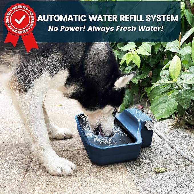 Automatic Water Dispenser for Dogs/Cats, 1 Gallon Auto-Fill Dog Water Bowl Dispenser for Indoor/Outdoor, Large Water Feeder for Pets/Livestock, BPA-Free, Wide Mouth, Fits GHT 3/4" Faucet, Blue