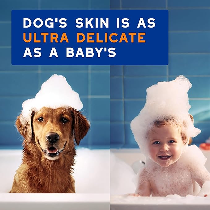 DOUXO® Skin & Coat SPA – Ultra-Safe Combo for Dogs, 2-in-1 Conditioning Shampoo (16 fl oz, Cleanses & Conditions) + Multipurpose Wipes (100 Count, Refreshes Coat)