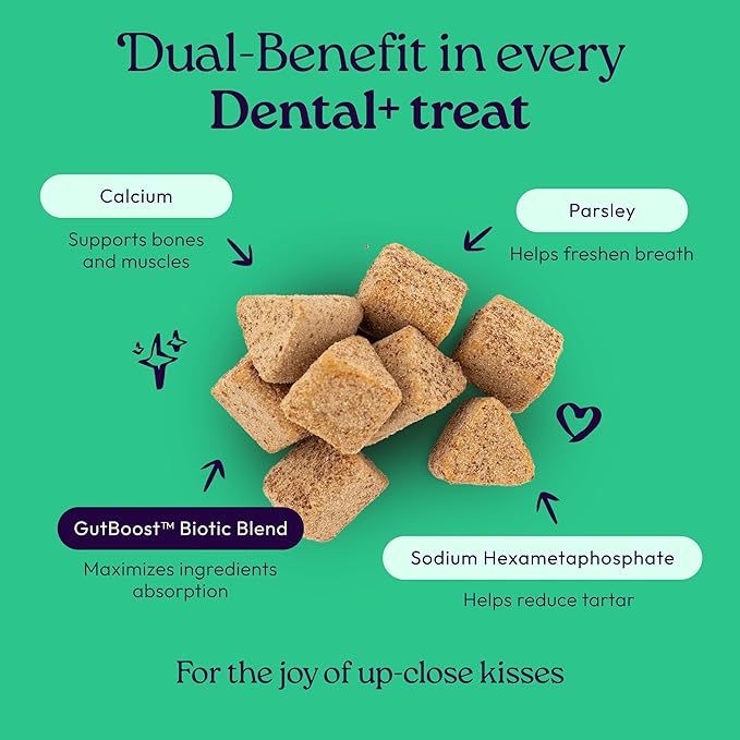 WellJoy Cat Treat Dental+ GutBoost | Helps Reduce Tartar | Helps Freshen Breath | Dual-Benefit GutBoost Formulation | Vet Formulated | Made in USA | Made with Real Chicken | 120 Soft Chews