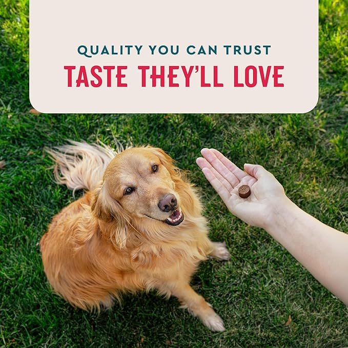 VetIQ 8-in-One Multifunctional Supplement for Dogs, Supports Hip & Joint, Urinary Tract, Immune System, Skin Health and Heart Health, Soft Chews, Made in the USA, 60 Count