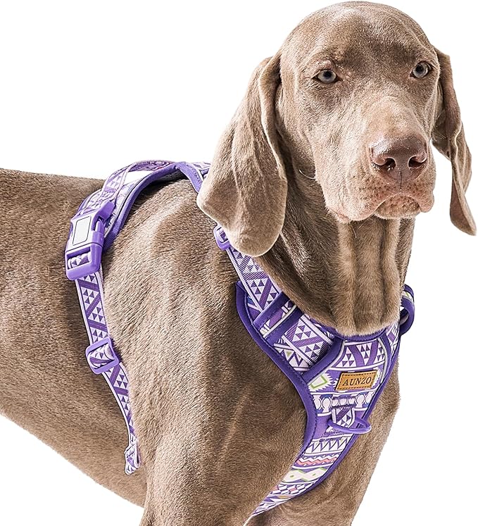 Adjustable Extra Large Dog Vest Harness No-Pull Easy Walking, Cute Pet Harness with Tribal Pattern Breathable Oxford Material 2 Leash Clips and 3 Buckles, German Shepherd, Rottweiler, XL Size