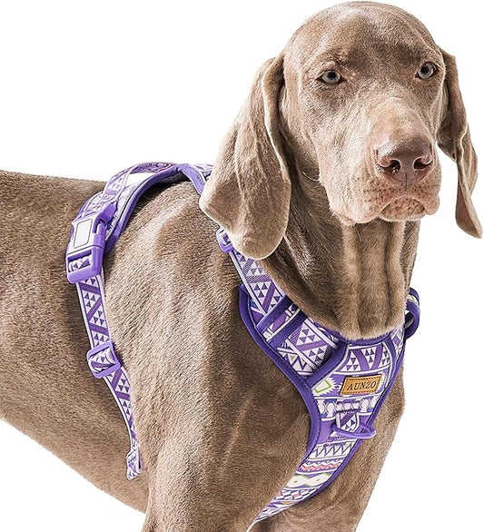 Adjustable Extra Large Dog Vest Harness No-Pull Easy Walking, Cute Pet Harness with Tribal Pattern Breathable Oxford Material 2 Leash Clips and 3 Buckles, German Shepherd, Rottweiler, XL Size