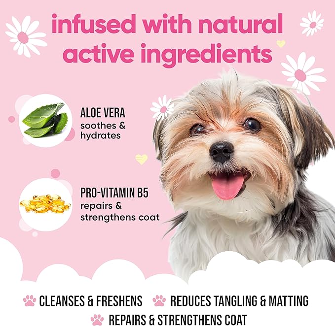 Baby Fresh Dog Shampoo by Buddycare | Deep Cleansing Shampoo for Dogs | Fresh Scented | with Aloe Vera and Pro Vitamin B5 (50.72oz)