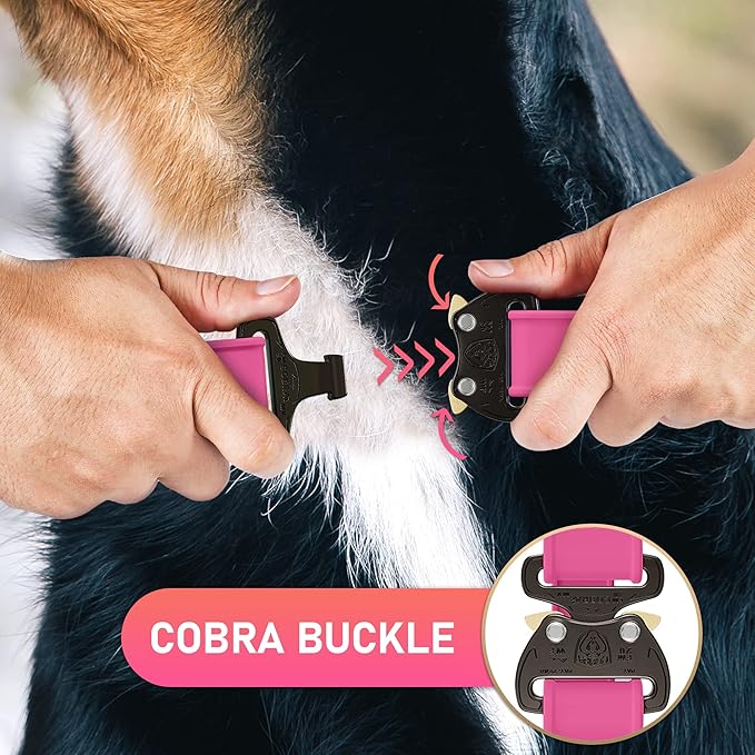 Biothane Dog Collar with Cobra Buckle - Made in USA - QR Code Dog Tag ID Included - Adjustable Heavy Duty Dog Collars for Medium Large Dogs - Waterproof Military Grade Tactical Collar for Dogs