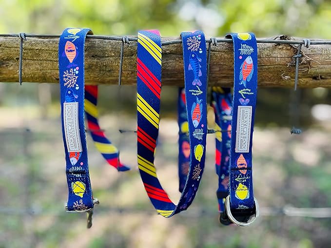 Lucky Love Dog - Adjustable Dog Collar with Easy Click Buckle for Small to Large Ones, Durable, & Comfortable for Male & Female Dogs, Pet Collar for Puppies & Adult Dogs - Mackey, XS