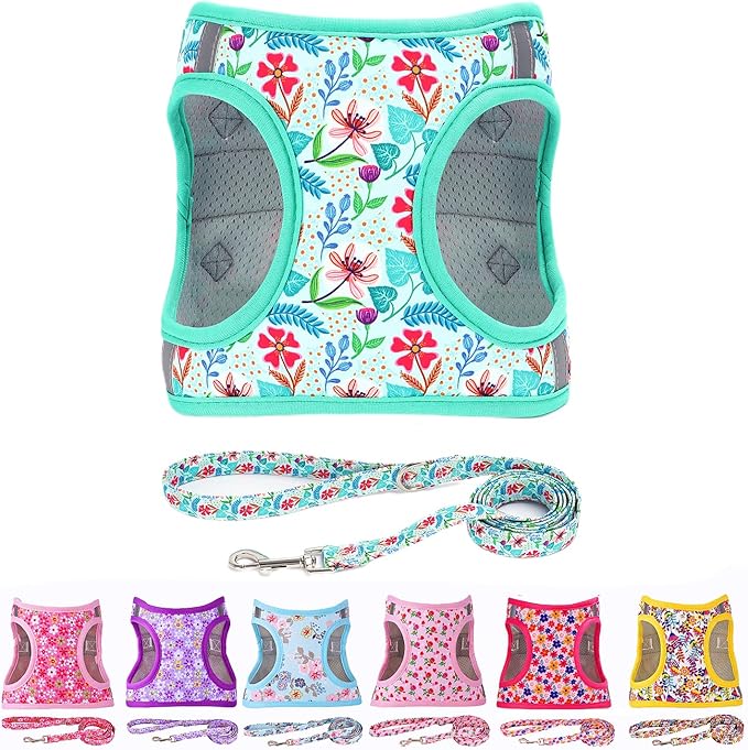 Moonpet Step in Dog Harness Leash Set- All Weather Reflective No-Pull Floral Pattern Padded Mesh Vest Harness for Cats Puppy Extra-Small Small Medium Large Dogs - Verdure Flower - XS