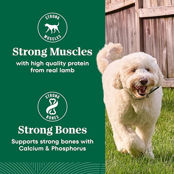 Nutro Natural Choice Chicken & Brown Rice Senior Dog Food Dry Recipe, 13 lb. Bag