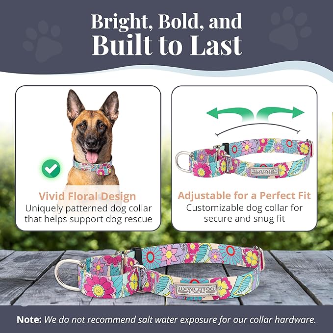Lucky Love Dog Martingale Collar, Premium No Slip Martingale Collar for Large Dogs, Great for Whippets, Greyhounds, and More (Caroline, Large)