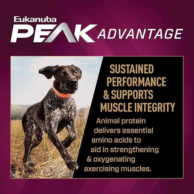 EUKANUBA Adult Premium Performance 30/20 Sport Dry Dog Food, 28 lb Bag