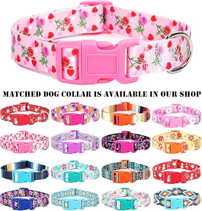 Moonpet Step in Valentine's Day Dog Harness Leash Set- All Weather Reflective No-Pull Floral Pattern Padded Mesh Vest Harness for Cats Puppy Extra-Small Small Medium Large Dogs - Heart Rose - XL