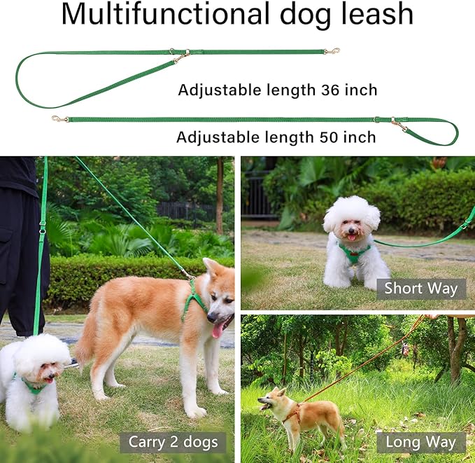 CHEDE No Pull Puppy Harness and Multifunction Dog Leash Set- 8 Colors Soft Adjustable No Choke Escape Proof Cute,Lightweight Pet Vest Harness for Small and Medium Dog (XS, Green)