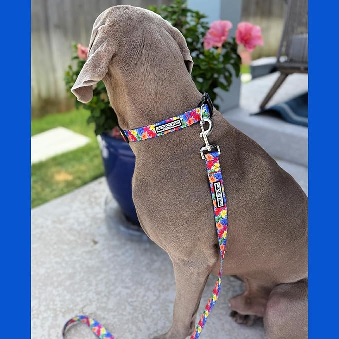 Lucky Love Dog - Adjustable Dog Collar with Easy Click Buckle for Small to Large Ones, Durable, & Comfortable for Male & Female Dogs, Pet Collar for Puppies & Adult Dogs - Hana, Small