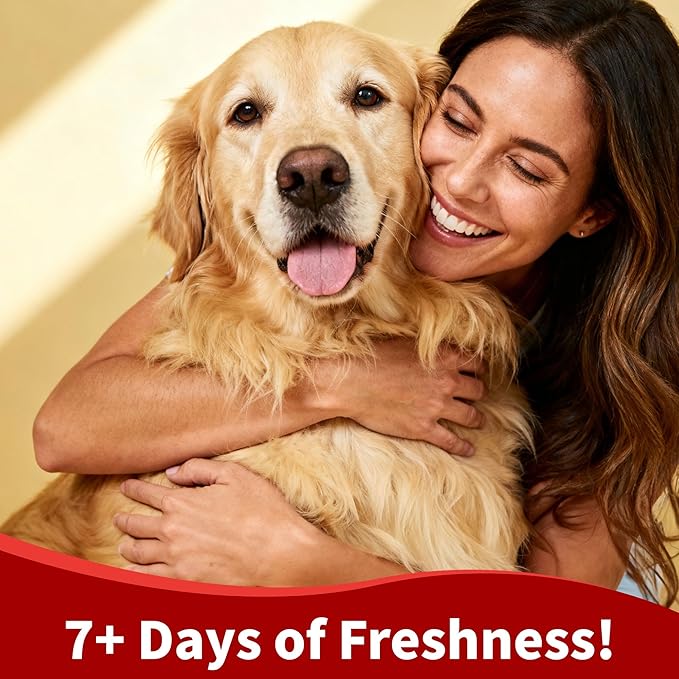 Arf Arf Oatmeal Dog Shampoo for Itchy Skin and Allergies - Soothing Oatmeal Formula Provides Anti Itch Relief for Dry, Sensitive Skin - Hypoallergenic Calming Wash for All Breeds - 16oz