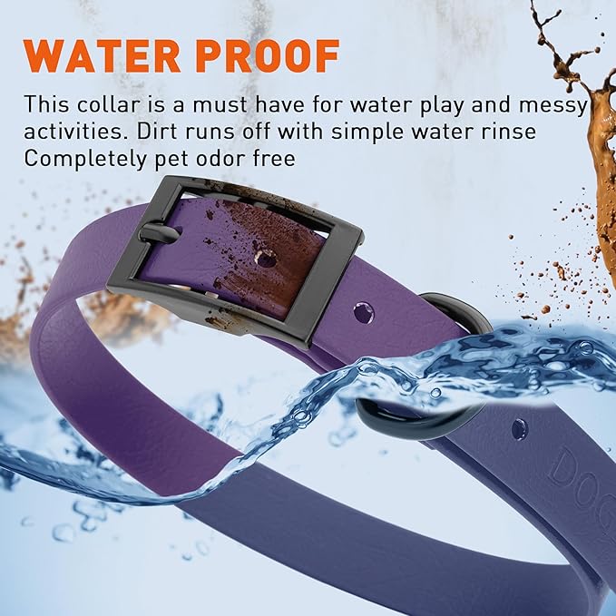 Dogline Biothane Coated Webbing Dog Collar with Black Metal Hardware: Durable Easy-Clean Everyday Collar for Dogs - Comfortable Adjustable Odor-Resistant Pet Collar, W3/4" x L15-18, Violet Purple