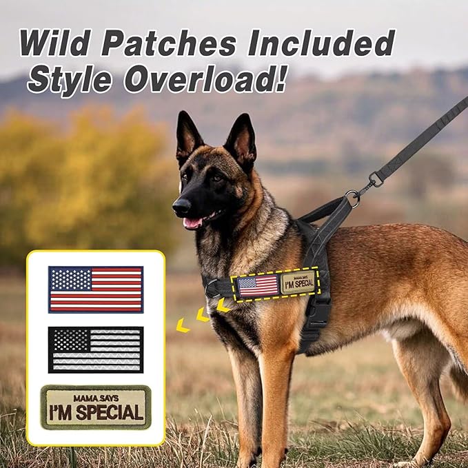 Forestpaw No Pull Dog Harness with Large Handle,Slip on Reflective Vest with Quick Release Buckle,Comfortable Flannel Lining for Medium Large Dogs Walking Training (Includes 3 Patches),Black M