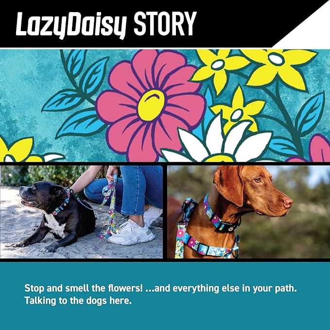 Wolfgang Heavy Duty, Adjustable Dog Collar with Quick Release Nylon Buckle for Walking & Training, LazyDaisy Print, Large