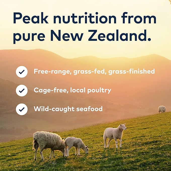 ZIWI Peak Air-Dried Dog Food, Beef | High Protein | Grain Free | Limited Ingredient | Pack of 2
