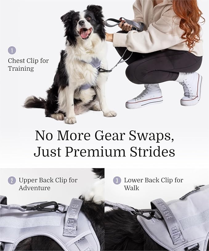 2025 New Edition, Fei & Eve MagEase Dog Harness - 3-Second Magnetic Buckles | 3-Point No-Pull Control | Heavy-Duty 900D Nylon | Dual Safety Handles | Breathable Mesh | Adjustable Fit | Large, Gray