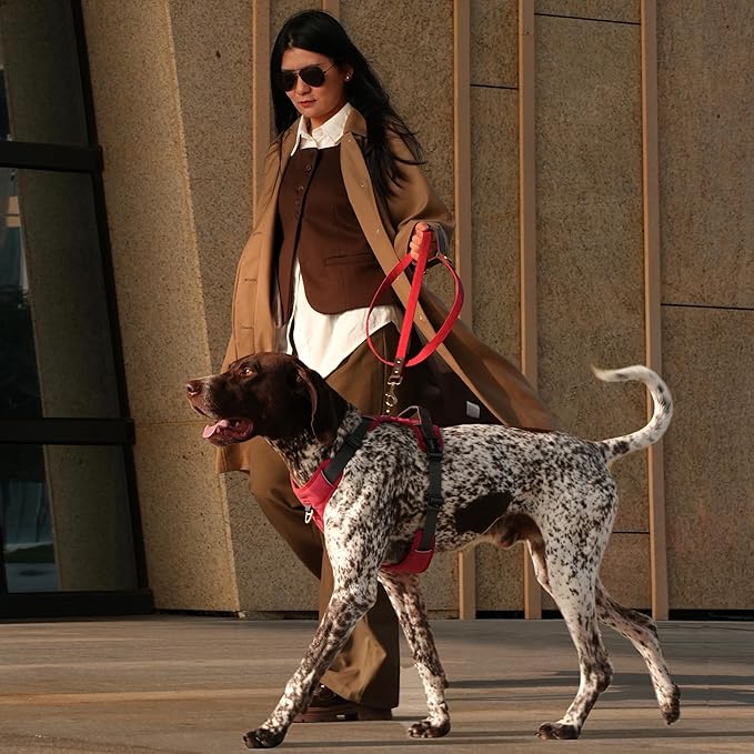 No Pull Dog Harness Medium Sized Dog,Stylish PU Leather Vest with Easy Control Handle,No Choke Front Clip with 2 Metal Leash Clips,Reflective & Adjustable for Walking,Red,Chest 27-33"