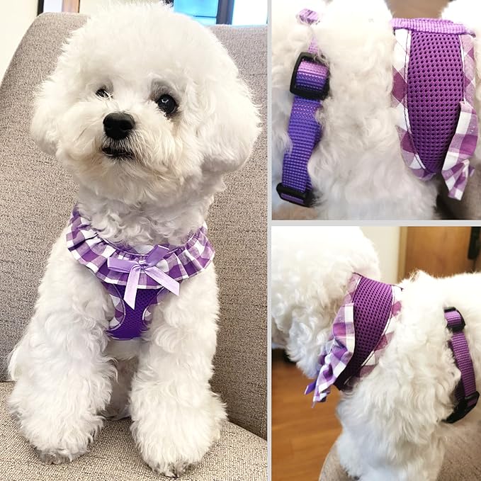 SuperBuddy Upgraded Soft Mesh Dog Harness, Super Breathable Lightweight Pet Harnesses for Puppy Dogs Outdoor Walking, Purple Dog Harness and Dog Leash Set Packing -Medium