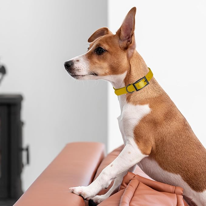 Dogline Biothane Coated Webbing Dog Collar with Black Metal Hardware: Durable Easy-Clean Everyday Collar for Dogs - Comfortable Adjustable Odor-Resistant Pet Collar, W1 x L18-22, Treasure Gold