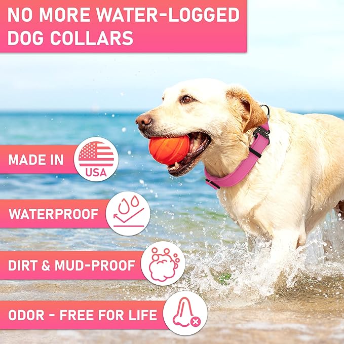 Biothane Dog Collar with Cobra Buckle - Made in USA - QR Code Dog Tag ID Included - Adjustable Heavy Duty Dog Collars for Medium Large Dogs - Waterproof Military Grade Tactical Collar for Dogs