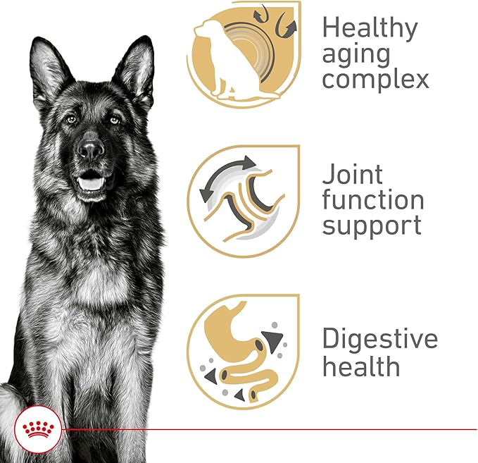 Royal Canin Breed Health Nutrition German Shepherd 5+ Mature Dry Dog Food, 28 lb Bag