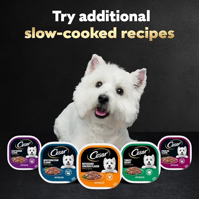 Cesar Filets in Gravy Adult Wet Dog Food Variety Pack, Filet Mignon and New York Strip Flavors, 3.5 oz. Easy Peel Trays, Variety Pack of 12