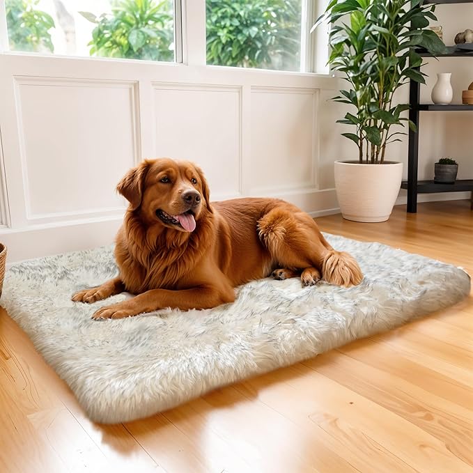 MAVERICK Premium Dog Bed, Orthopedic Dog Bed with High-Grade Memory Foam, Luxurious Faux Fur Sleep Surface, Water-Resistant Liner, Removable & Washable Cover, Non-Slip Bottom for Comfort & Support