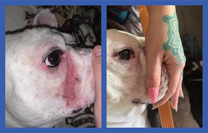 Squishface Wrinkle Paste & Flexible Silicone Dog Wrinkle Cream Applicator Bundle - Softer, Cleaner Way to Apply Wrinkle Paste to Your Dog's Face - Great for All Breeds!