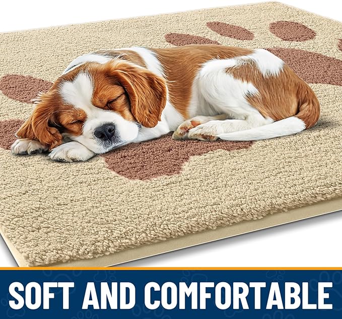 Smiry Dog Door Mat for Muddy Paws 30x20, Dirt Trapper Non Slip Washable Indoor Doormats, Absorbent Entryway Carpet for Inside Floor, Light Beige