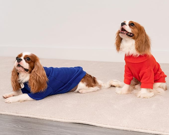 Fitwarm 3 Pack Classic Fleece Dog Sweater, Winter Clothes for Small Dogs Boy Girl, Turtleneck Dog Sweatshirt, Pet Apparel, Orange Red, Royal Blue, Neon Yellow, Large