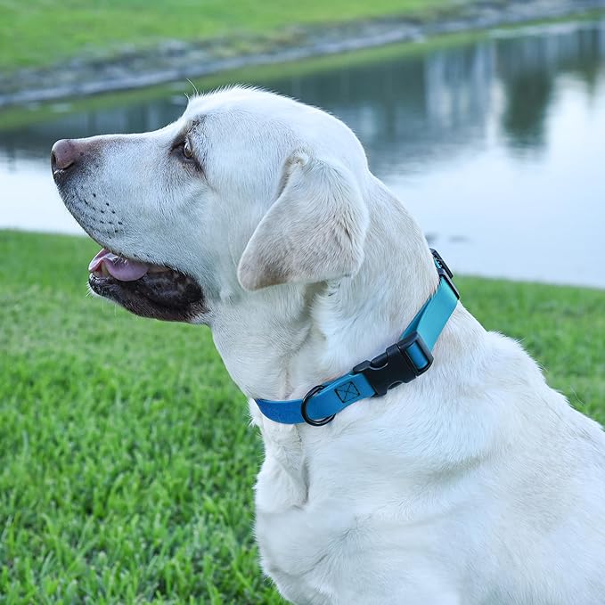 Dogline Durable Biothane Waterproof Collar for Dogs - Odor-Resistant Coated Webbing, Quick-Release Design, Comfortable Adjustable Fit, 5/8" W by 10-14" L, Cerulean Blue