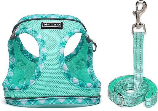 Mercano Soft Mesh Dog Harness and Leash Set, No-Chock Step-in Reflective Breathable Lightweight Easy Walk Vest Harnesses with Safety Buckle for Small Dogs, Cats (Light Green, XXS)