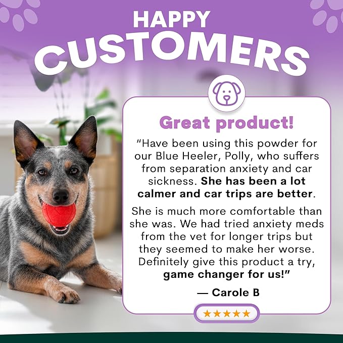 Stress and Anxiety Supplement for Dogs - Calming Dog Powder Supplement - Decreases Stress, Calms Fear & Anxiety, Eases Aggression & Insomnia, Relaxes Body and Mind - Beef Flavour - 3.2oz - 45 Scoops