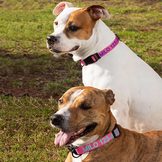 Pawtitas Personalized Dog Collar Extra Small Dog Collar Embroider with Name Phone Number Puppy Collar Adjustable Customized Collar for Extra Small Dogs Breeds Puppy Pink Dog Collar