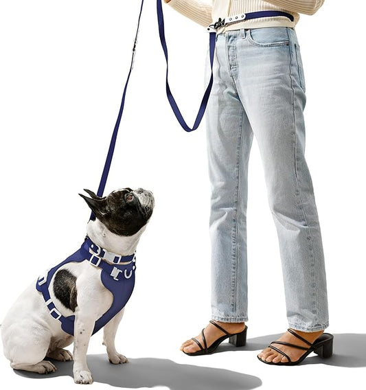 HNS1001J Arlo Small Adjustable Soft Padded No Pull Pet Harness with 3 Buckles and 3 Leash Clips, Highball